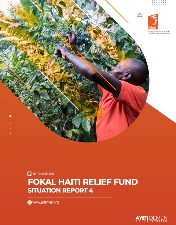 Situation Report 4 Cover