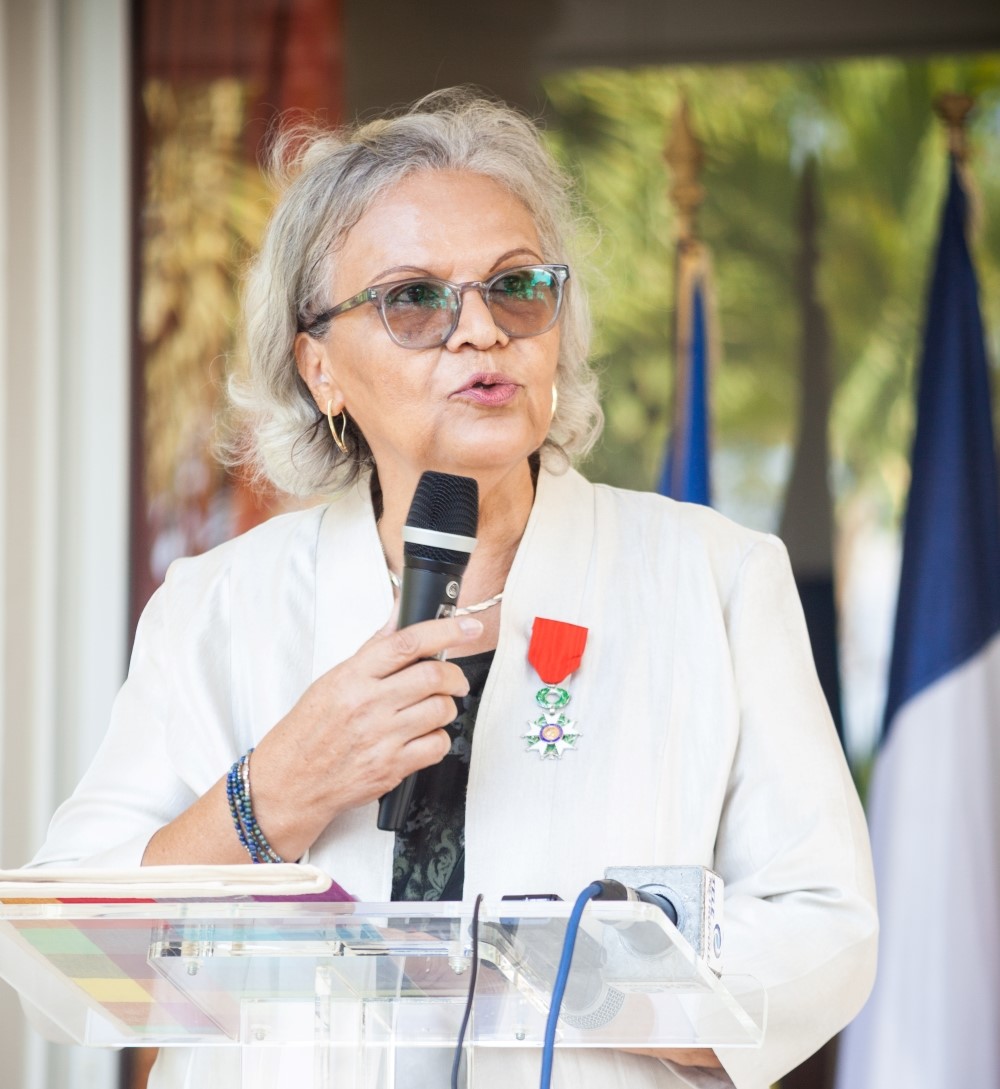 Remise Légion dHonneur MDPL 6