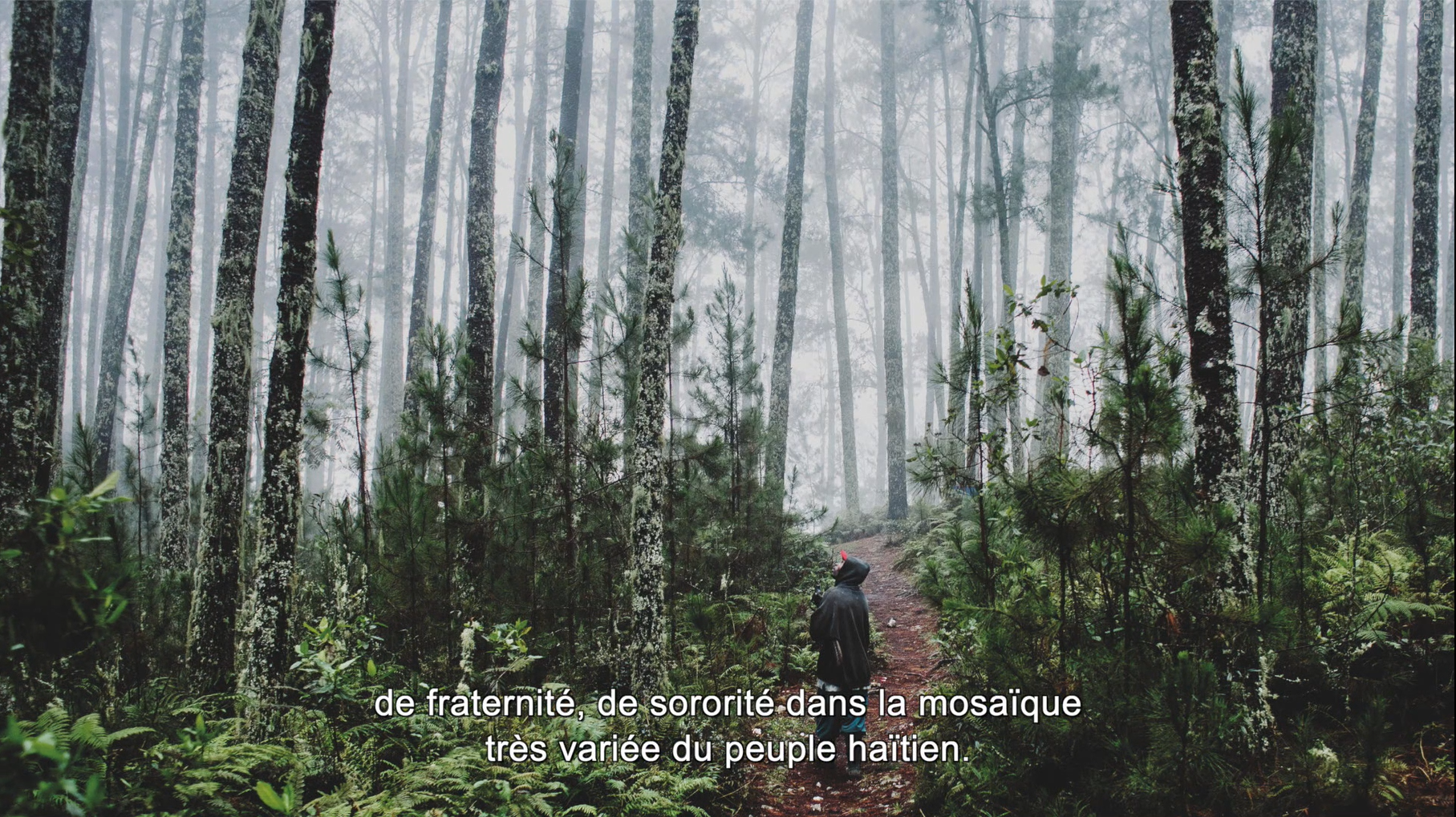 Screenshot 2023 06 30 123612